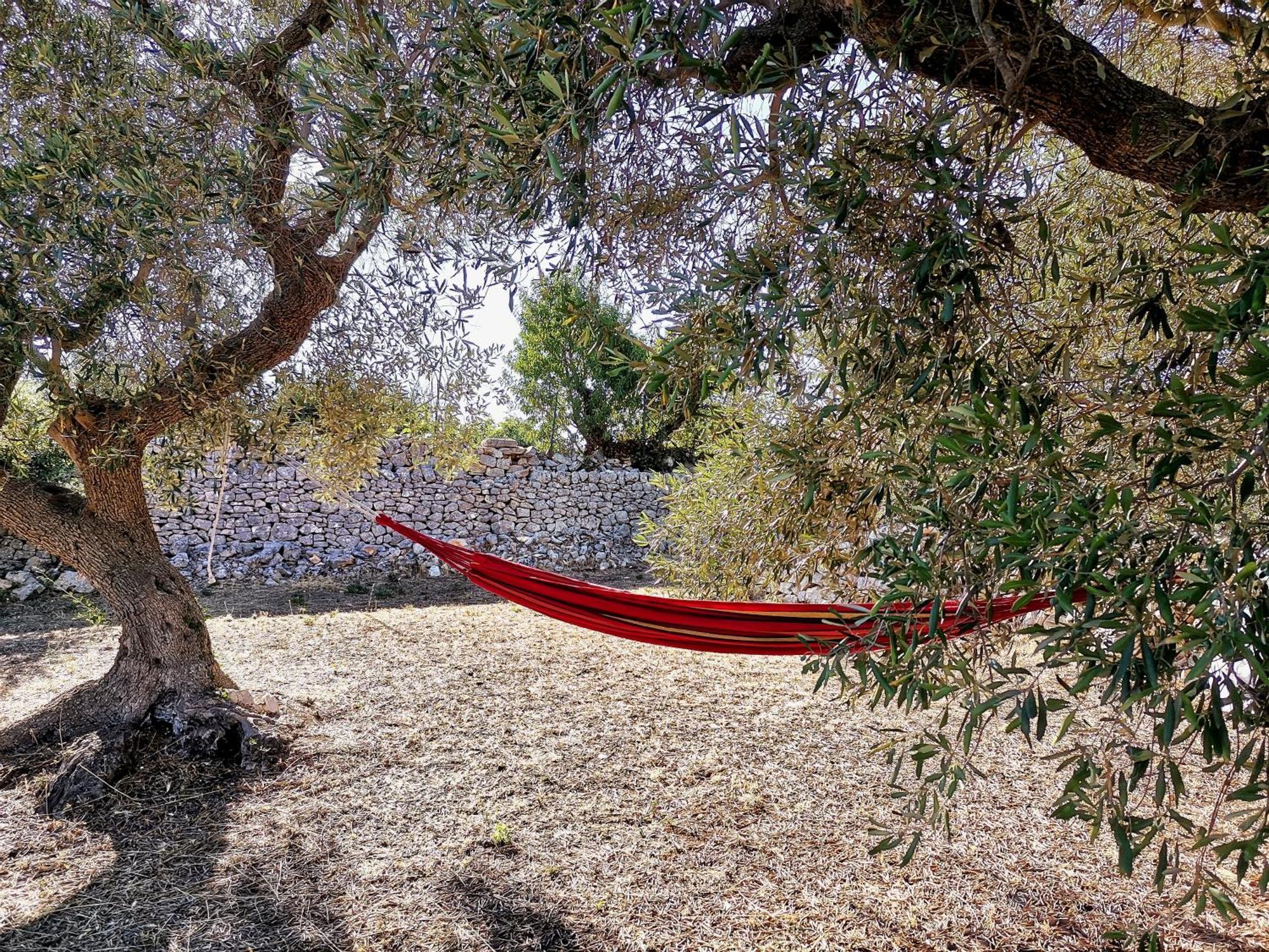 Trullo Mela Comfort, 6 People, 10 Minutes Alberobello