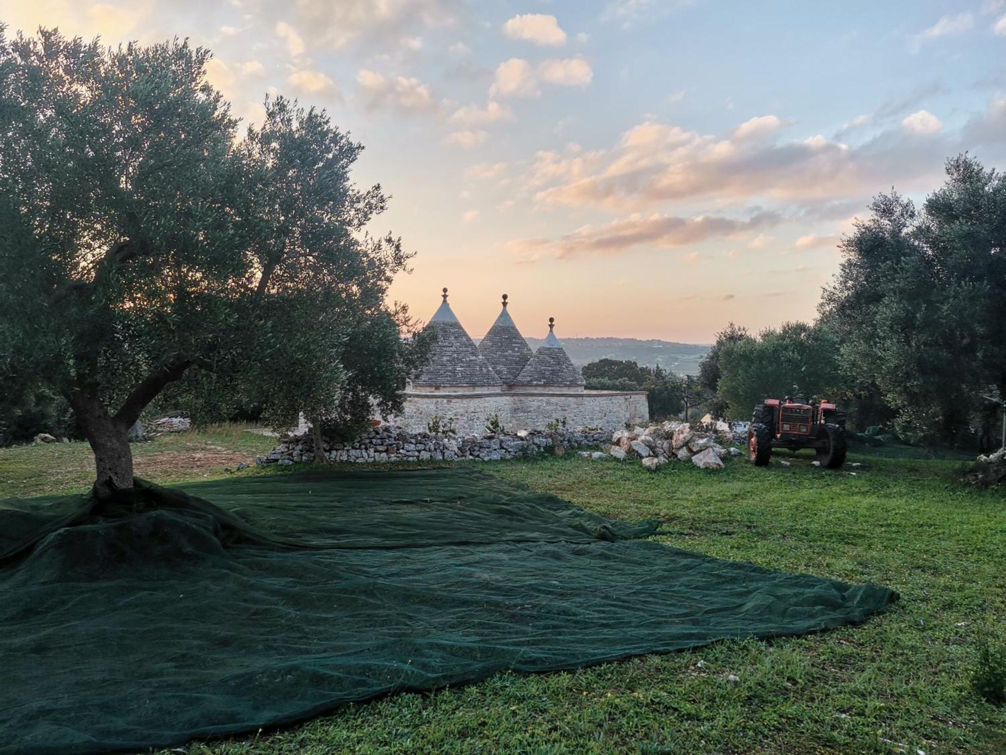 Trullo Mela Comfort, 6 People, 10 Minutes Alberobello Putignano