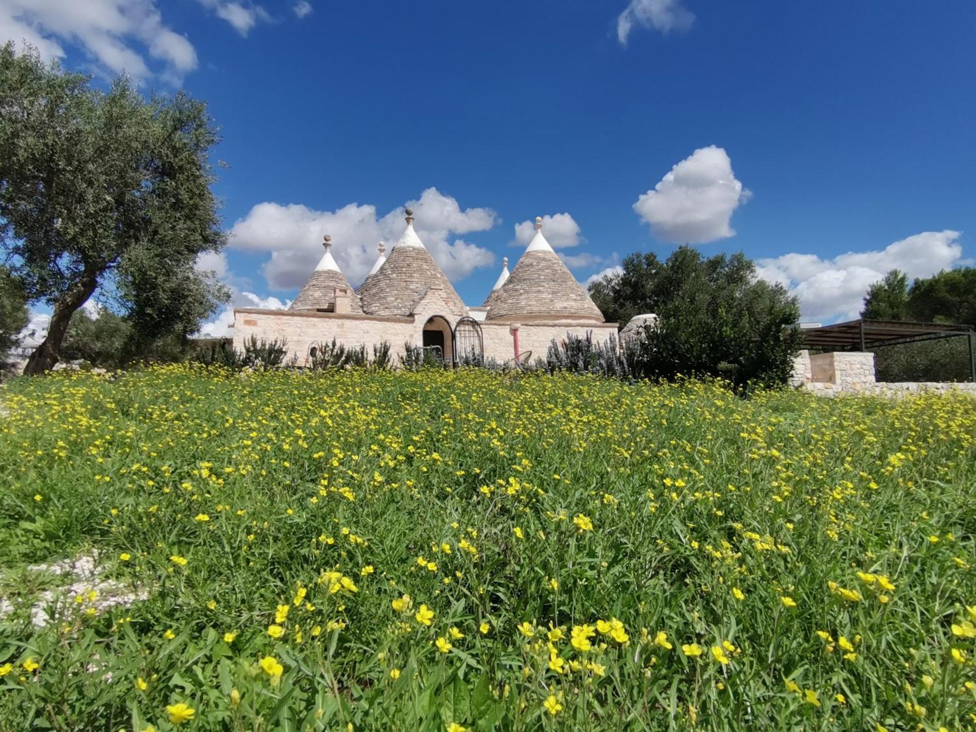 Trullo Mela Comfort, 6 People, 10 Minutes Alberobello Holiday home *